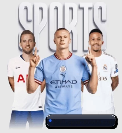 ball-sports6686.com APP