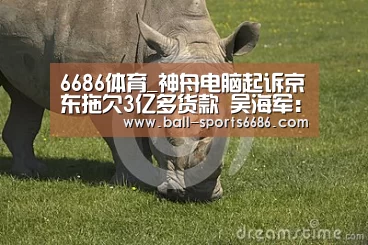 6686体育_神舟电脑起诉京东拖欠3亿多